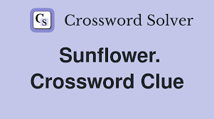 Much of a Sunflower Crossword Clue – 7 Expert Tips & Guide